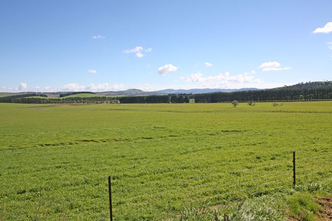 747 Mount Fairy Road, BUNGENDORE NSW 2621
