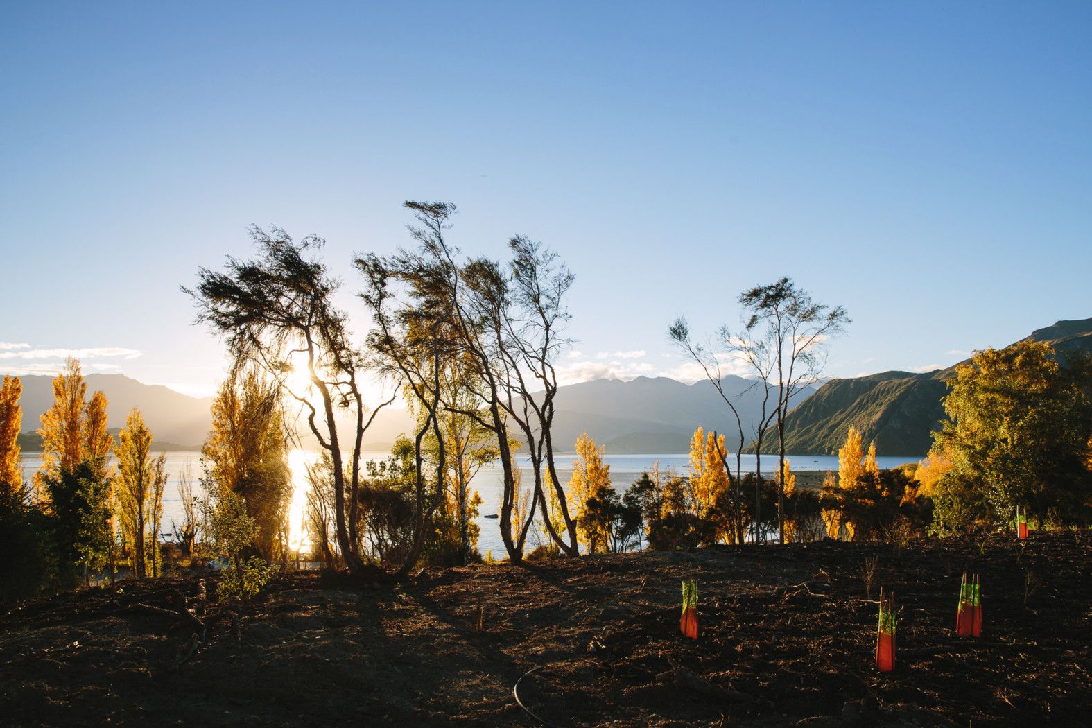 333 Beacon Point Road, WANAKA, Queenstown Lakes District