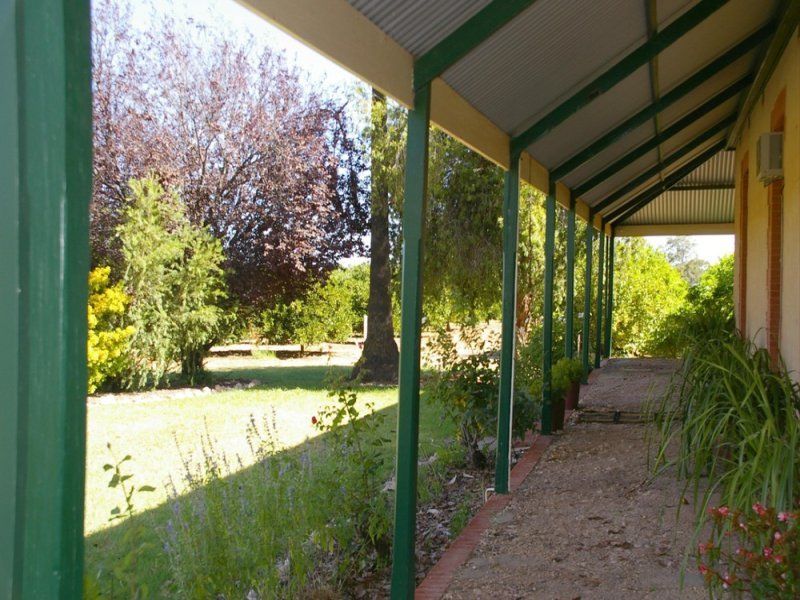 164 Tarcoola Street, RENMARK, SA 5341