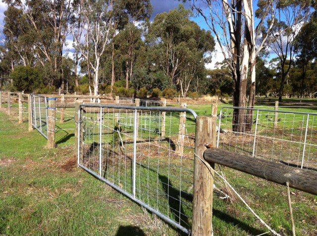 100 Kobyboyn Road, SEYMOUR, VIC 3660