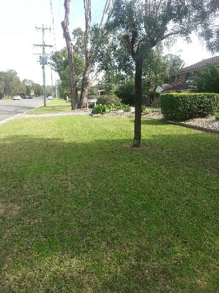 3/19 Gibson Avenue, WERRINGTON, NSW 2747