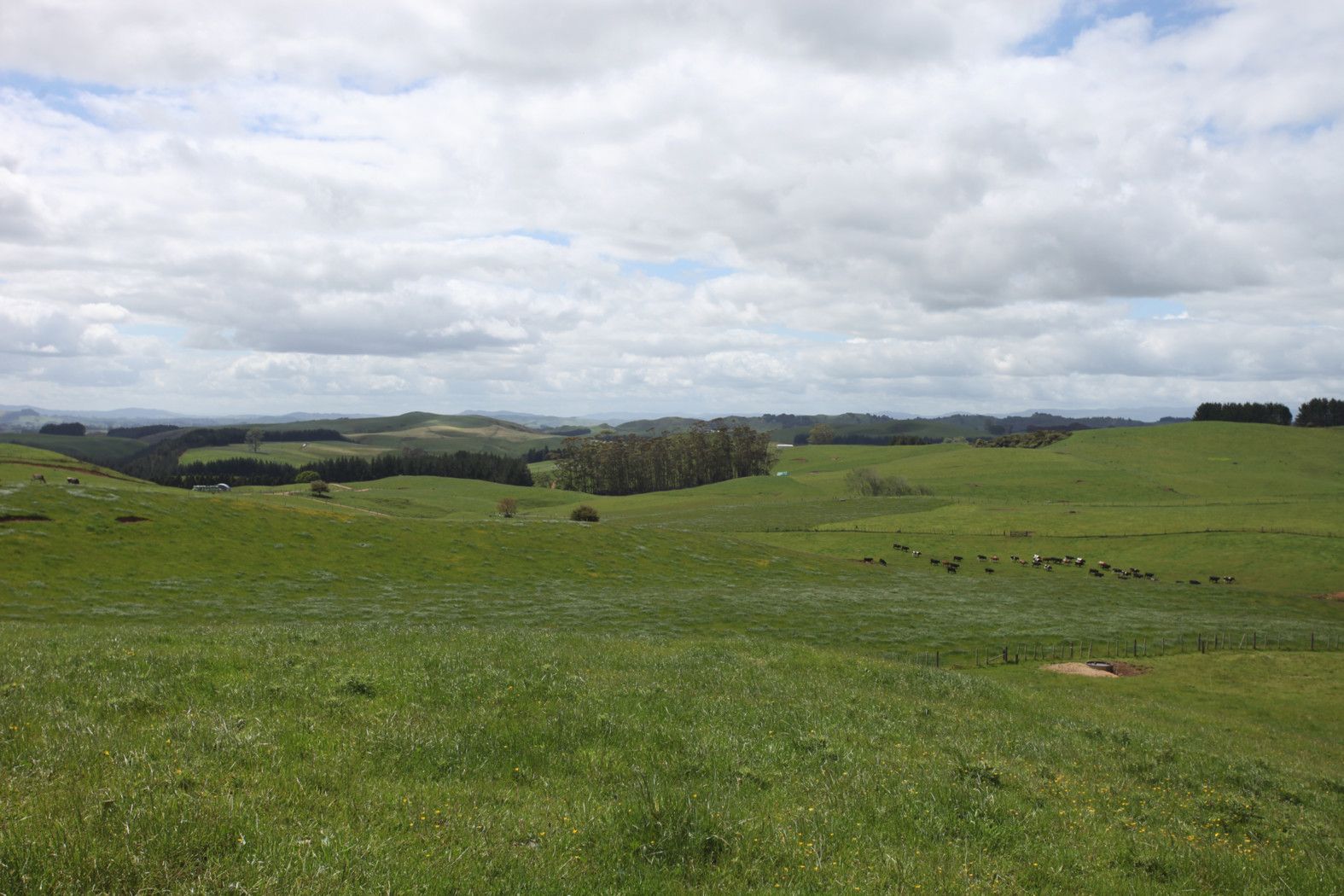 2091 Kawhia Road, PIRONGIA, Waipa District