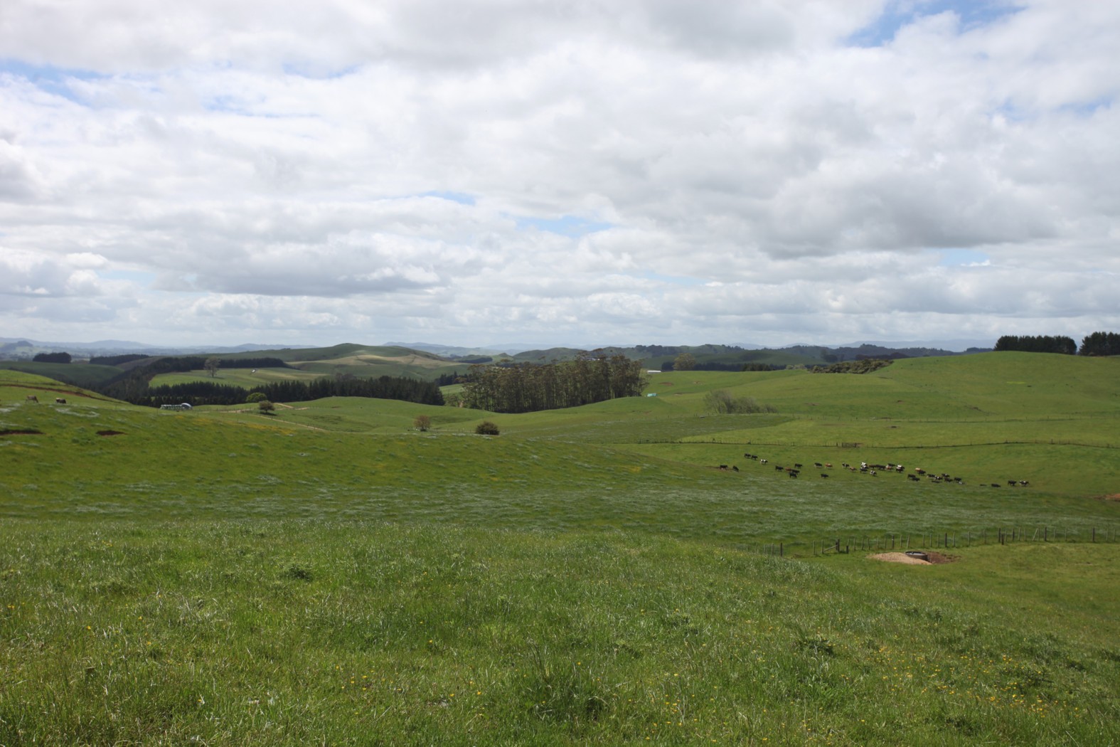 2091 Kawhia Road, PIRONGIA, Waipa District