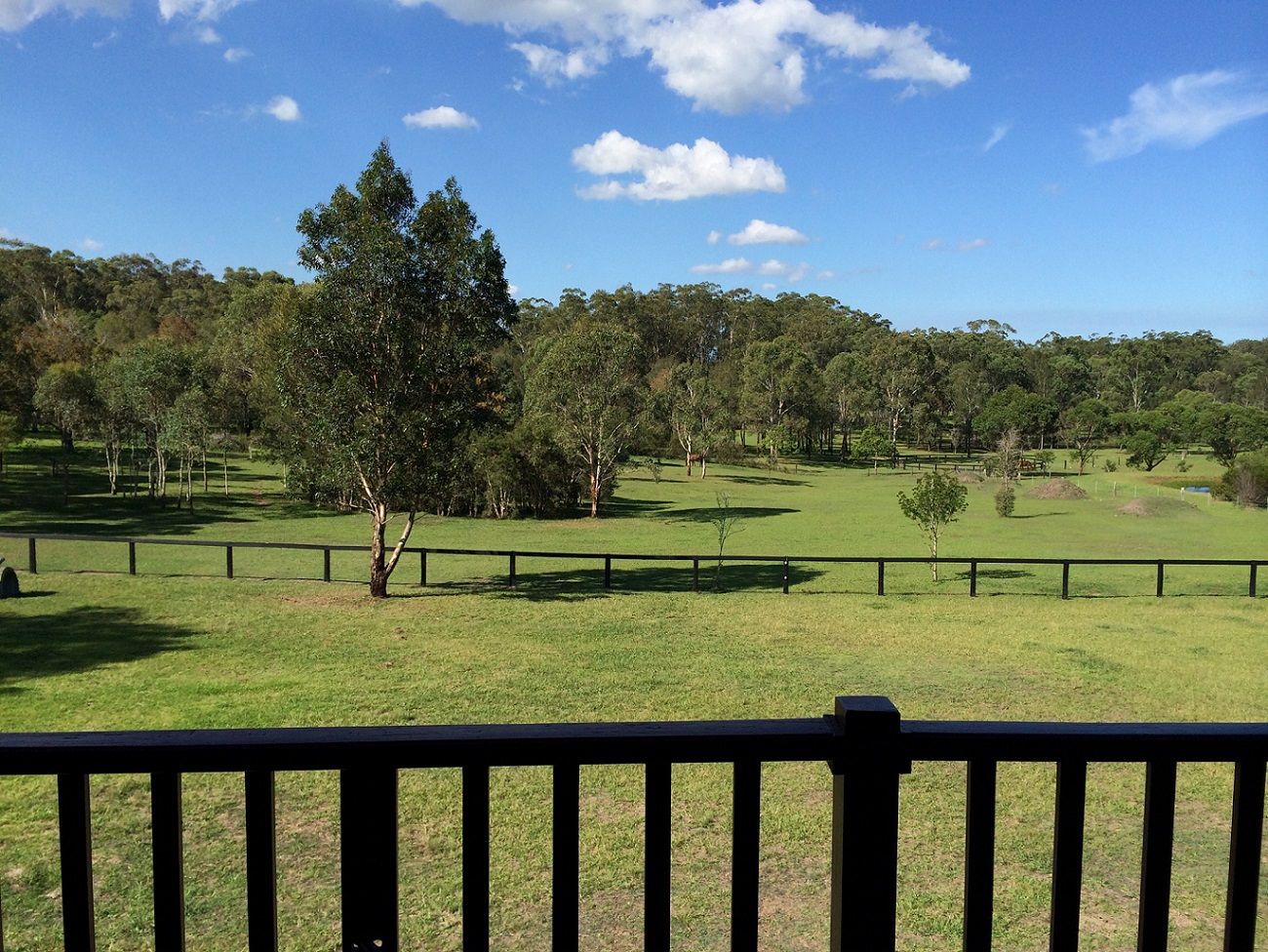 50 Brandy Hill Drive, BRANDY HILL, NSW 2324