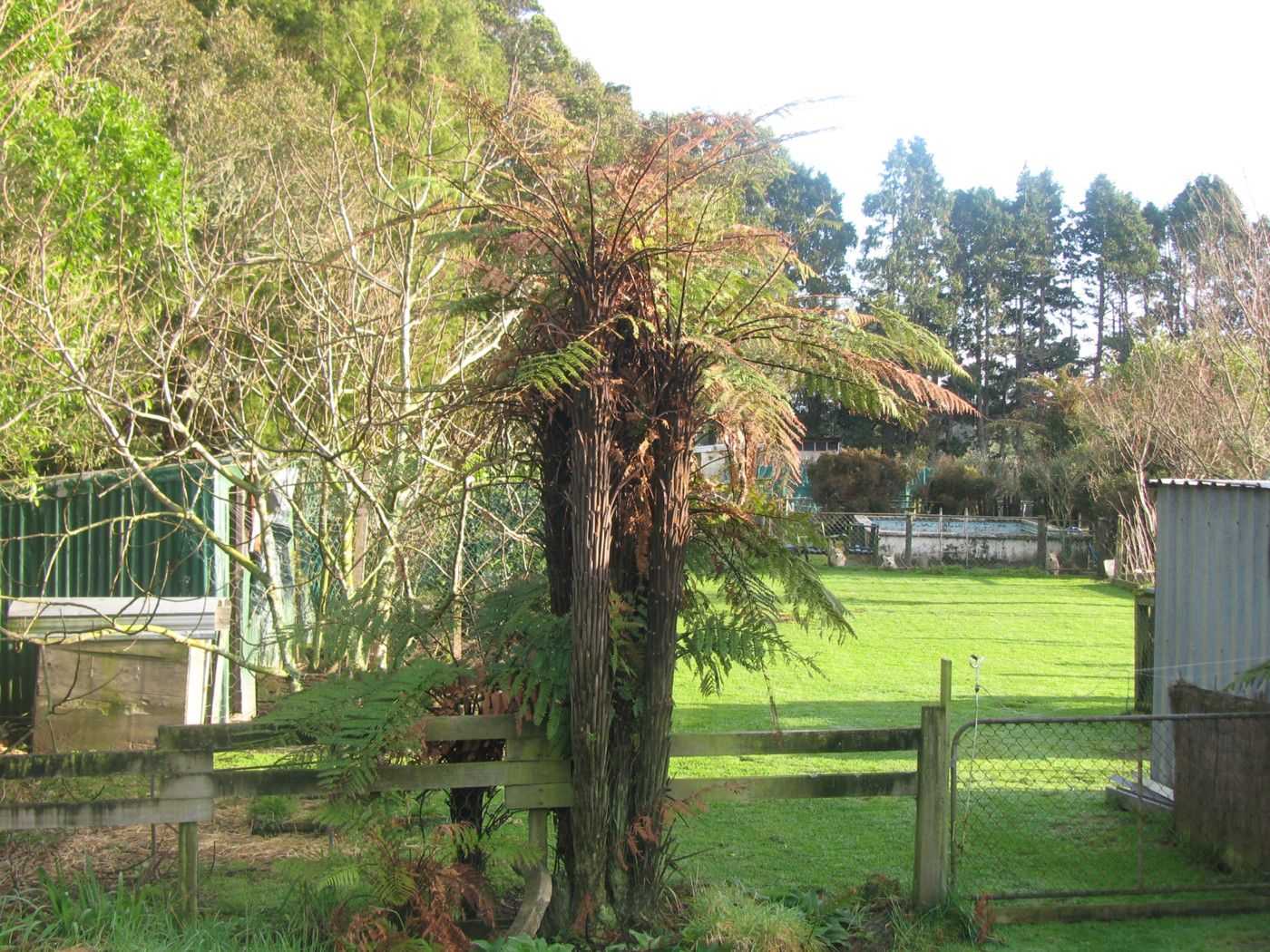 493 Birchfield Road, Birchfield, Buller District