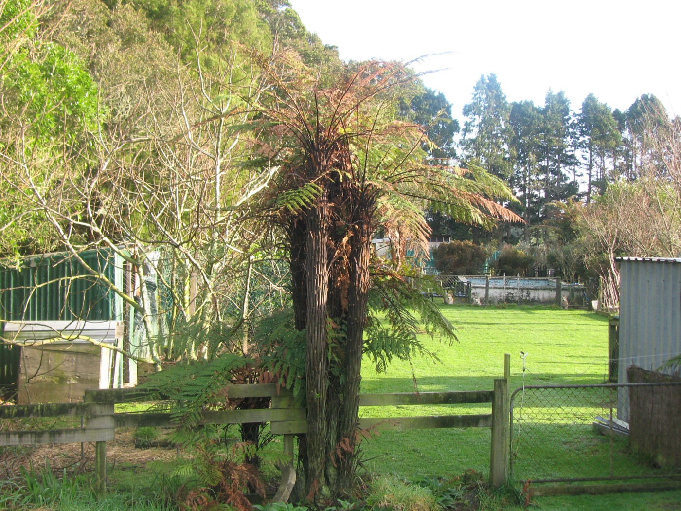 493 Birchfield Road, Birchfield, Buller District