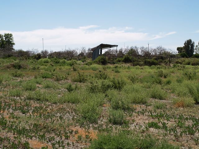 Sec 260 Checker Road, WAIKERIE, SA 5330