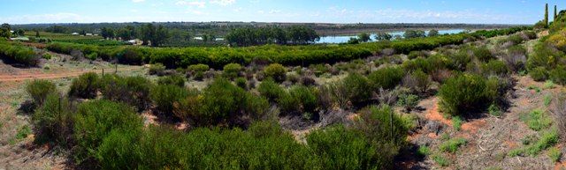 Lot 1 Ramco Road, WAIKERIE, SA 5330