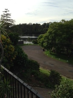 TAREE, NSW 2430