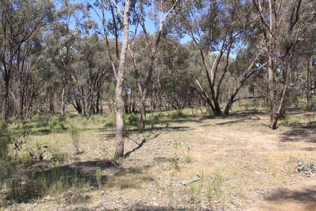 Lot 3 Young's Lane, HEATHCOTE, VIC 3523