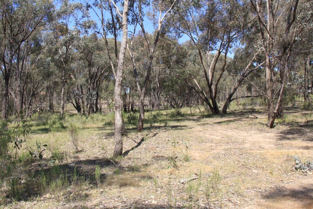 Lot 3 Young's Lane, HEATHCOTE, VIC 3523