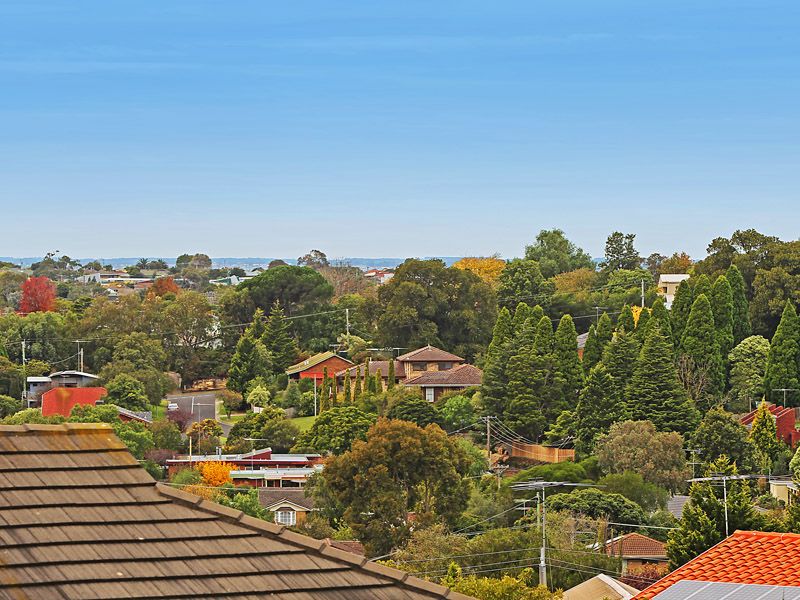 2 Knollbrook Close, HIGHTON, VIC 3216