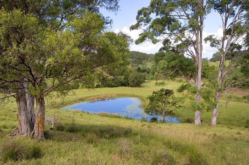 "Carinya" "Carinya" 916 Mooral Creek Road, WINGHAM, NSW 2429 Sold Rural Property Ray White