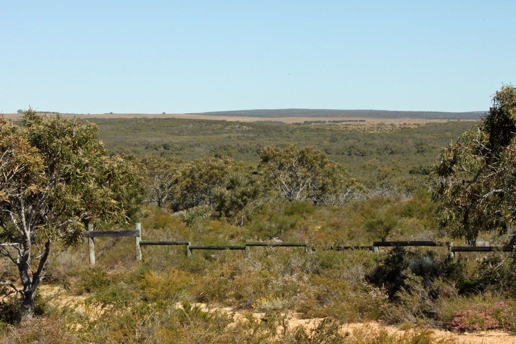 Lot 11 Wren Way, JURIEN BAY, WA 6516
