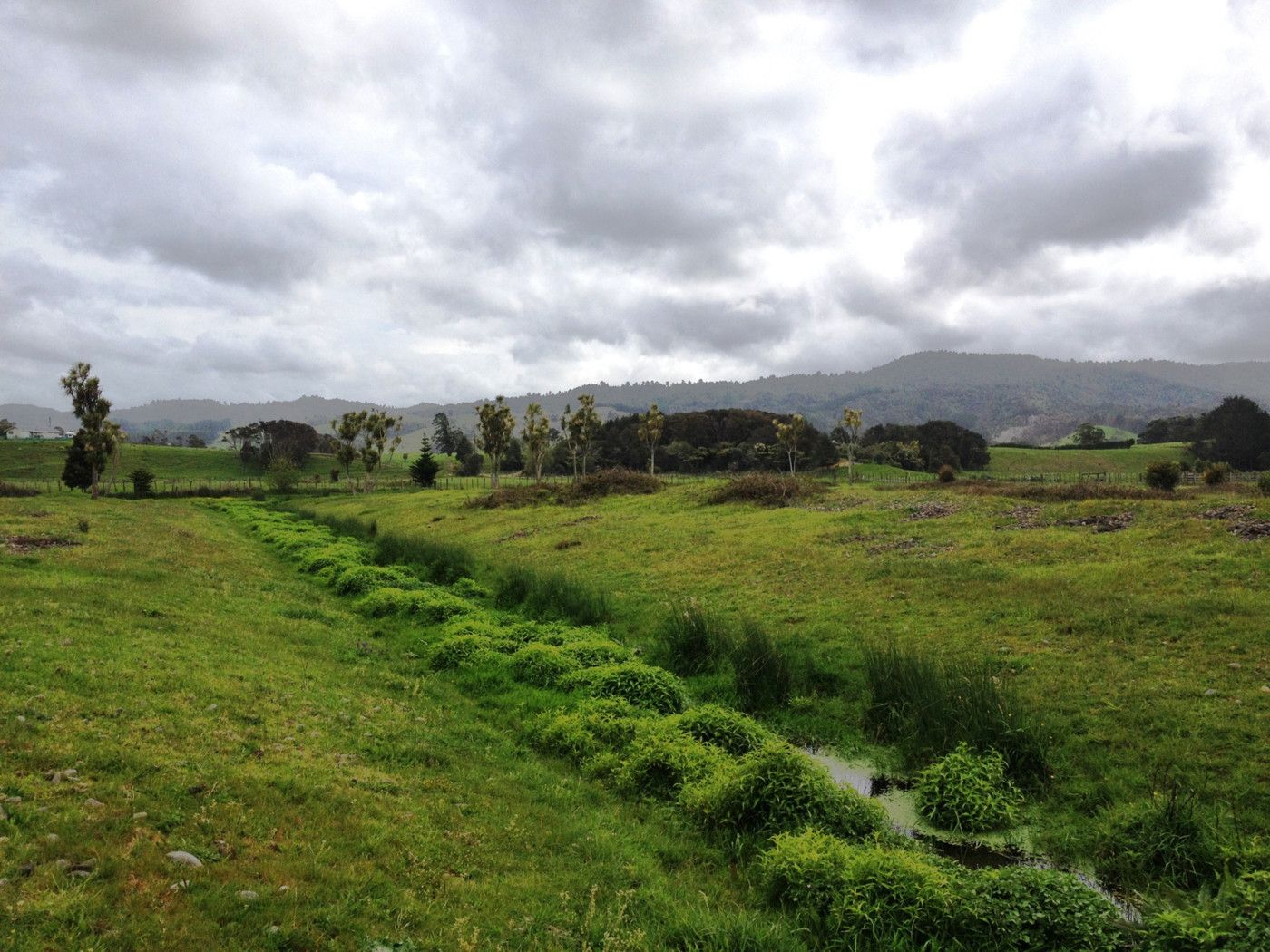0 Rata Road, Kaiaua, Waikato District
