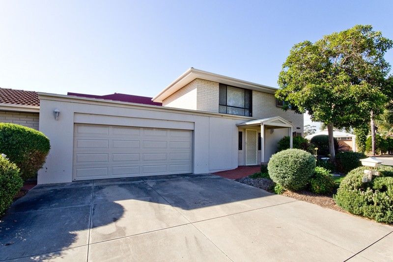 5 Mawson Crescent, LOCKLEYS, SA 5032