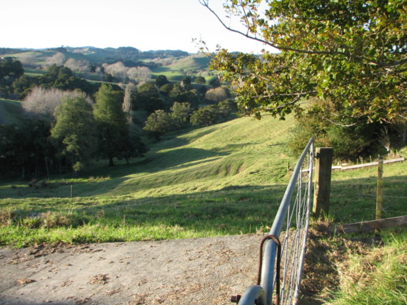129 Hurndall Street, Maungaturoto, Kaipara District