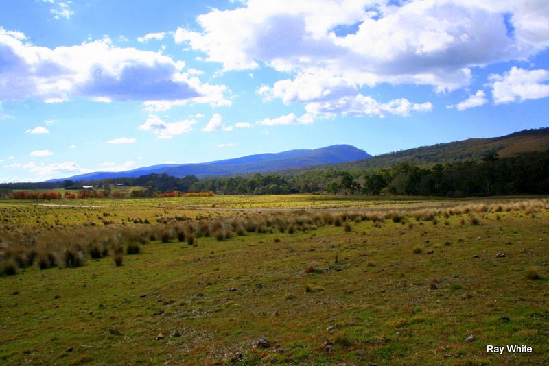 3940 Cooma Road, Braidwood NSW 2622