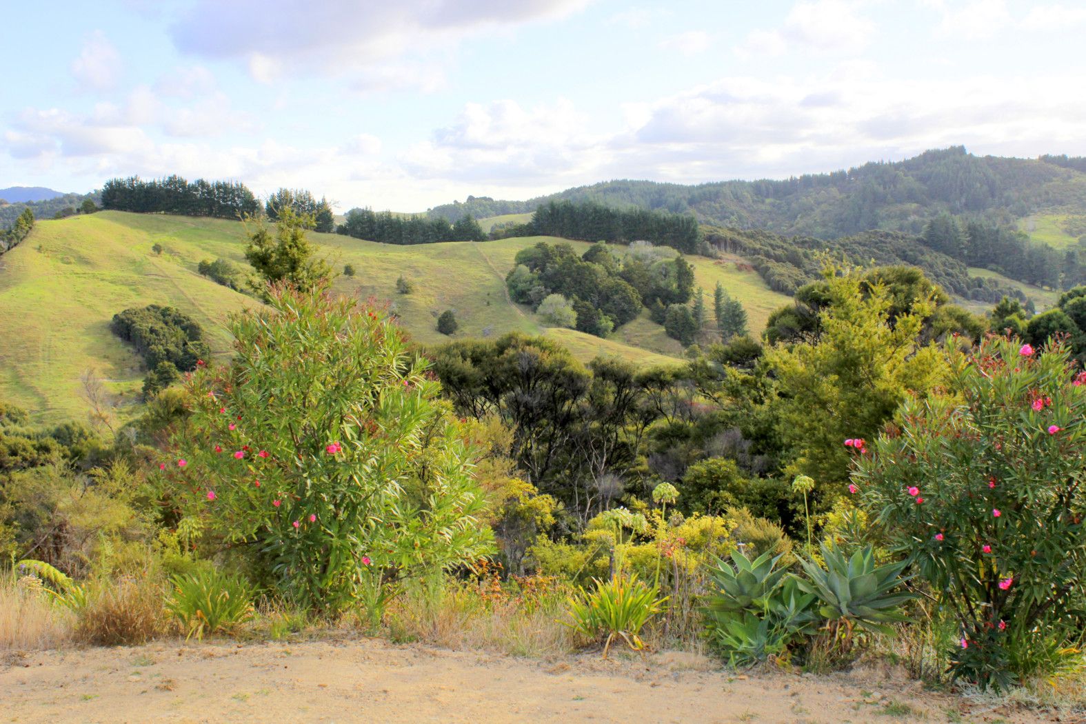 .. Peria Road (Kaiaka), PERIA, Far North District