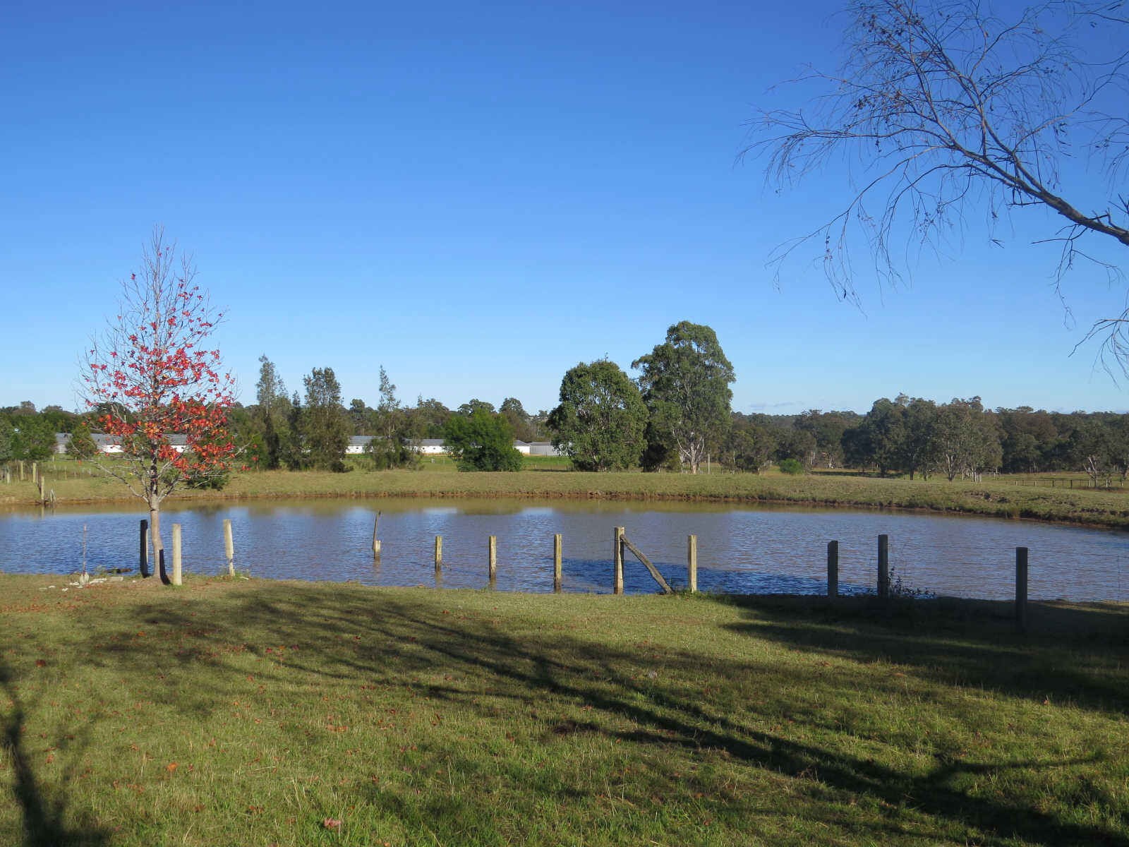115 Nightingale Road, PHEASANTS NEST, NSW 2574