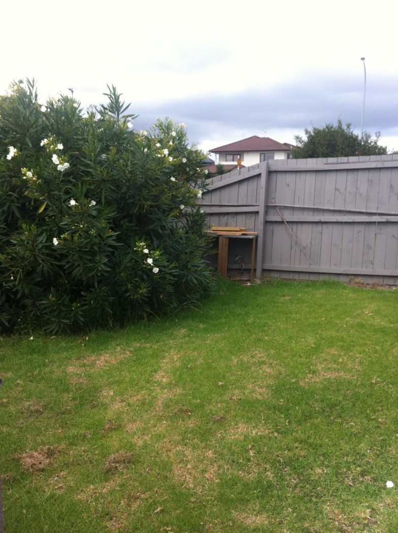 PAPATOETOE, Manukau City