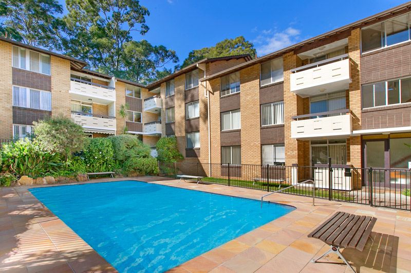 20a Austin Street, LANE COVE NSW 2066