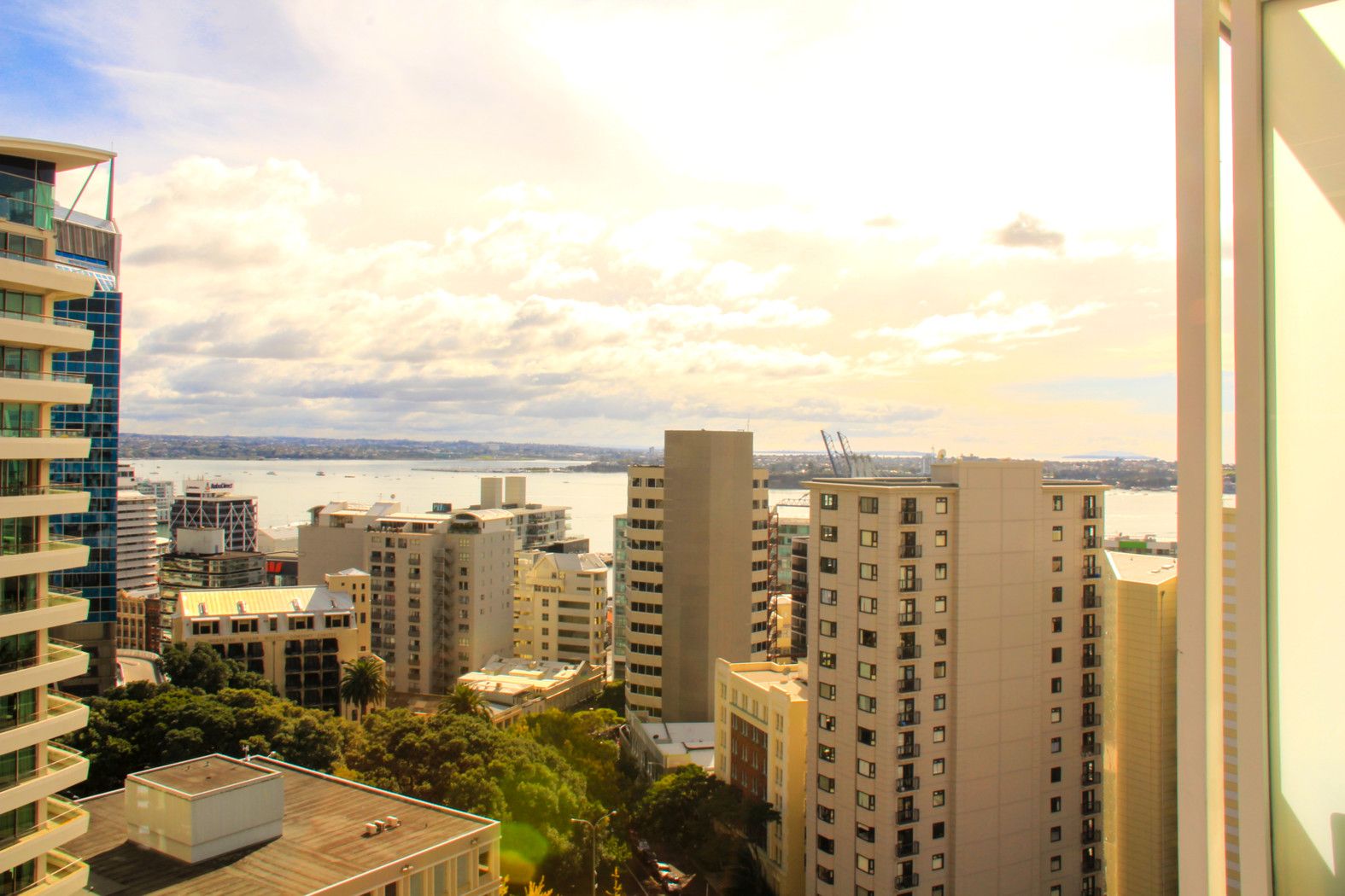 AUCKLAND CENTRAL, Auckland City