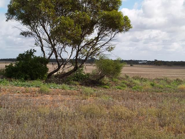 Sec 167 Dunstone Drive, WAIKERIE, SA 5330