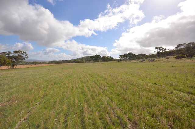 Section 316 Hallelujah Hills Road, EMU DOWNS, SA 5381
