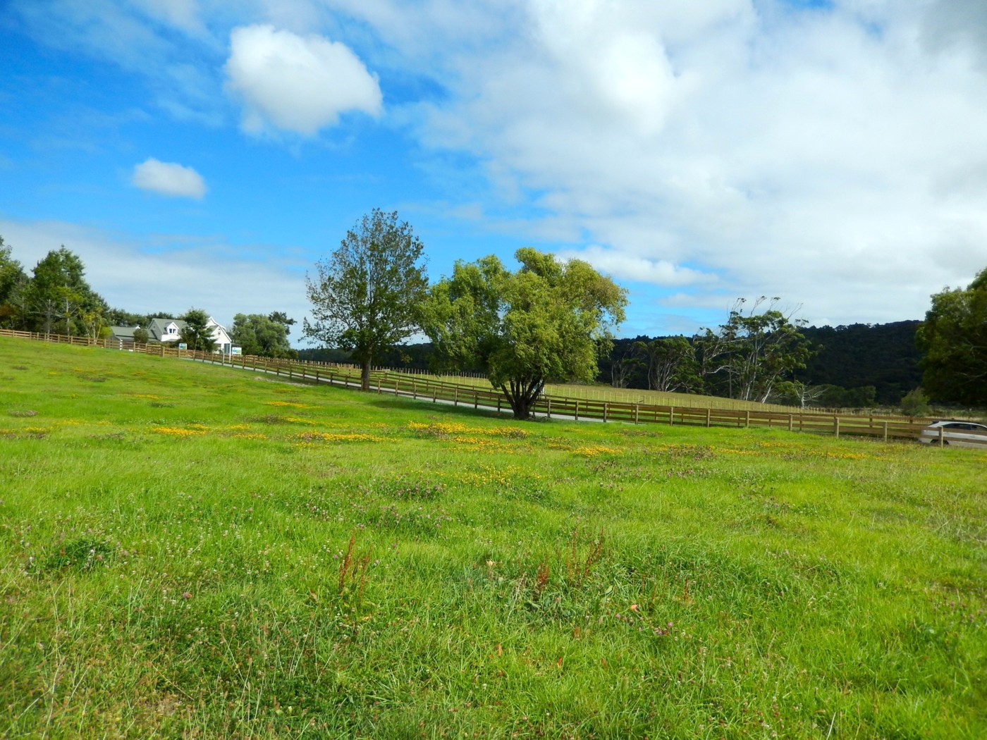 Lot 2 Carol Leon Avenue, KAUKAPAKAPA, Rodney