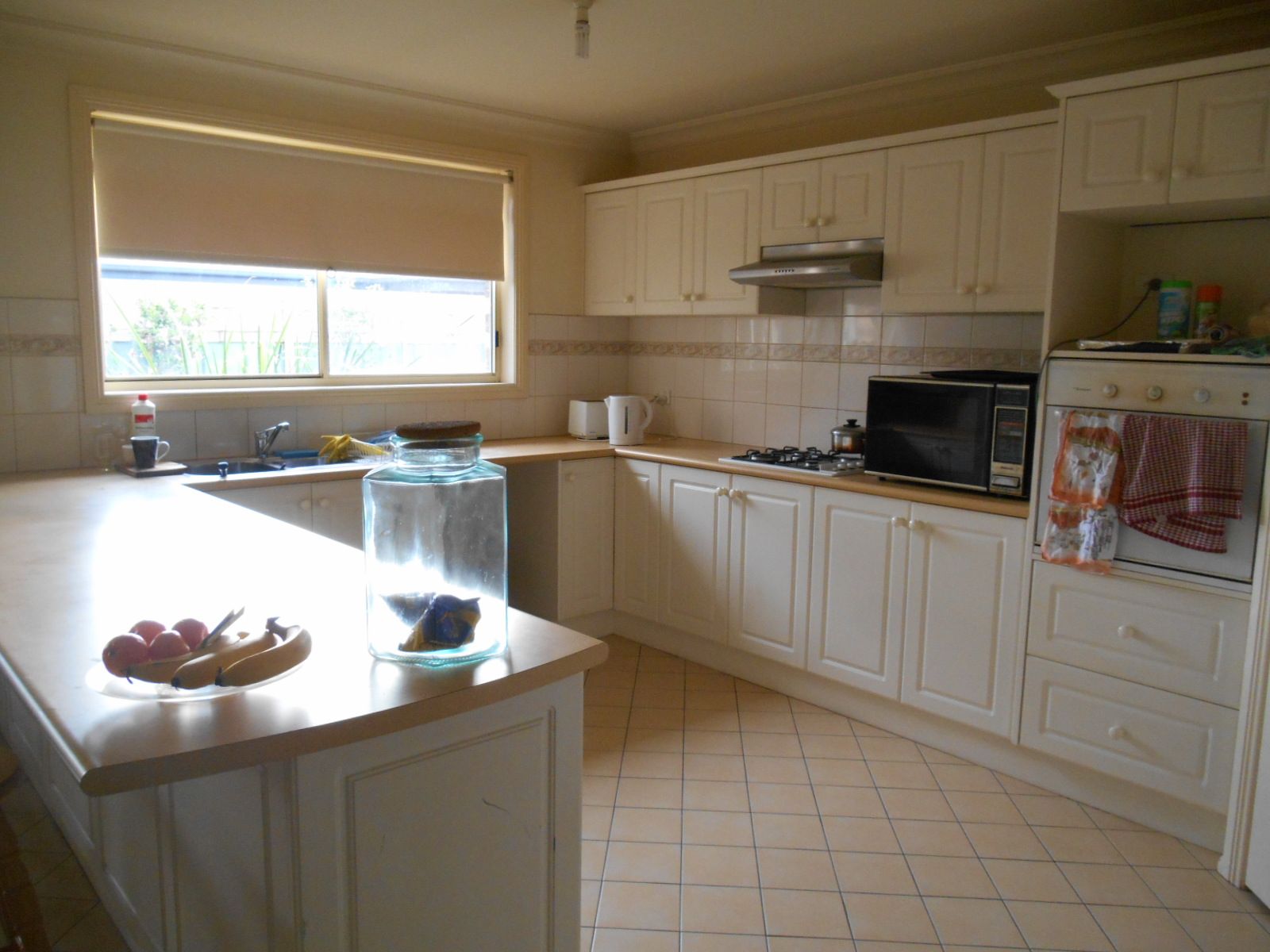 3/17 Hall Road, CARRUM DOWNS, VIC 3201