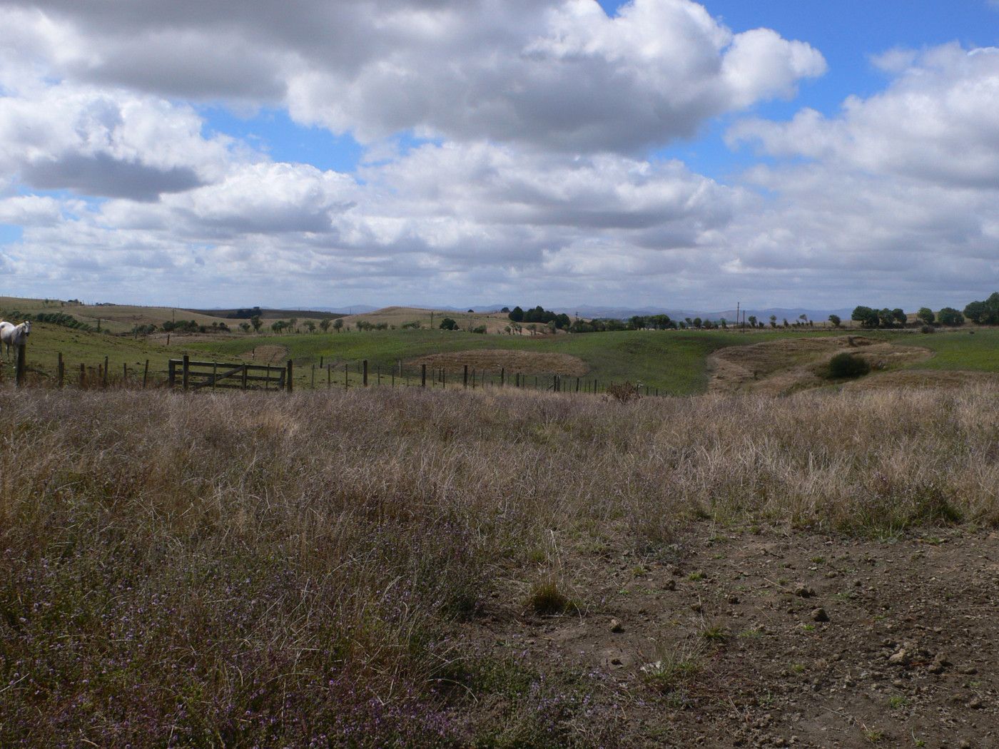 Pukekawa, Waikato District