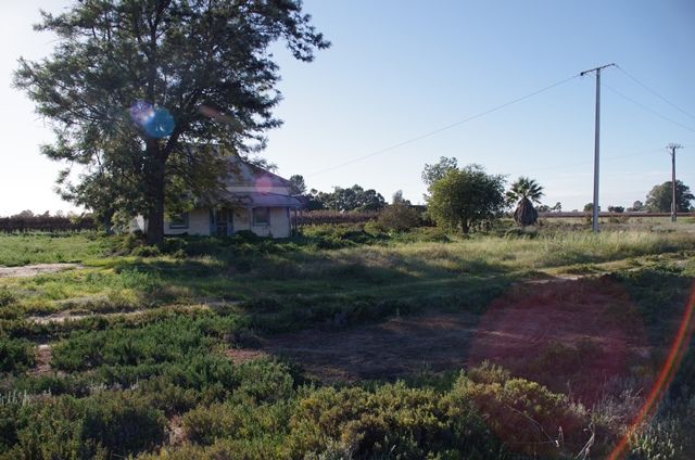 7 Begara Street, RENMARK, SA 5341