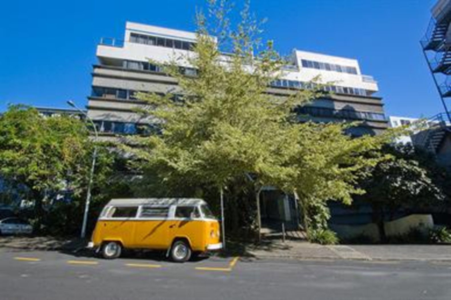 AUCKLAND CENTRAL, Auckland City