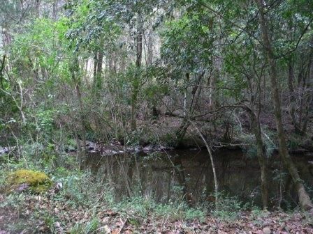 MARLEE, NSW 2429