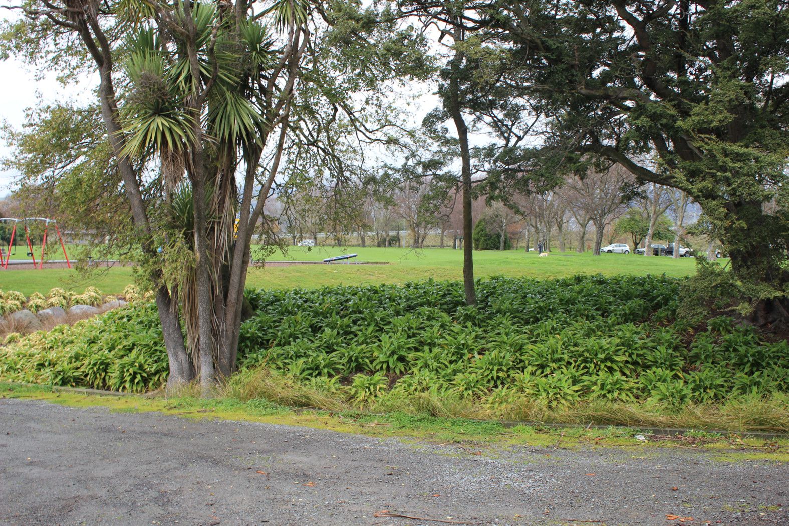 4/3 Meredith Street, ADDINGTON, Christchurch City