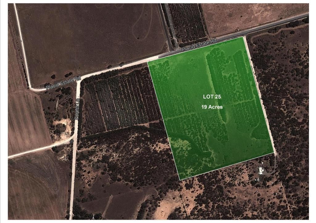 Lot 25 Placid Estate Road, WELLINGTON EAST, SA 5259