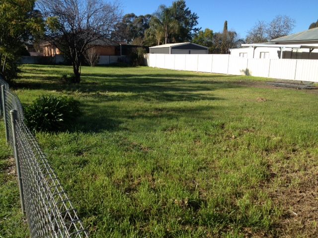 100 Tonkin Street, TEMORA NSW 2666