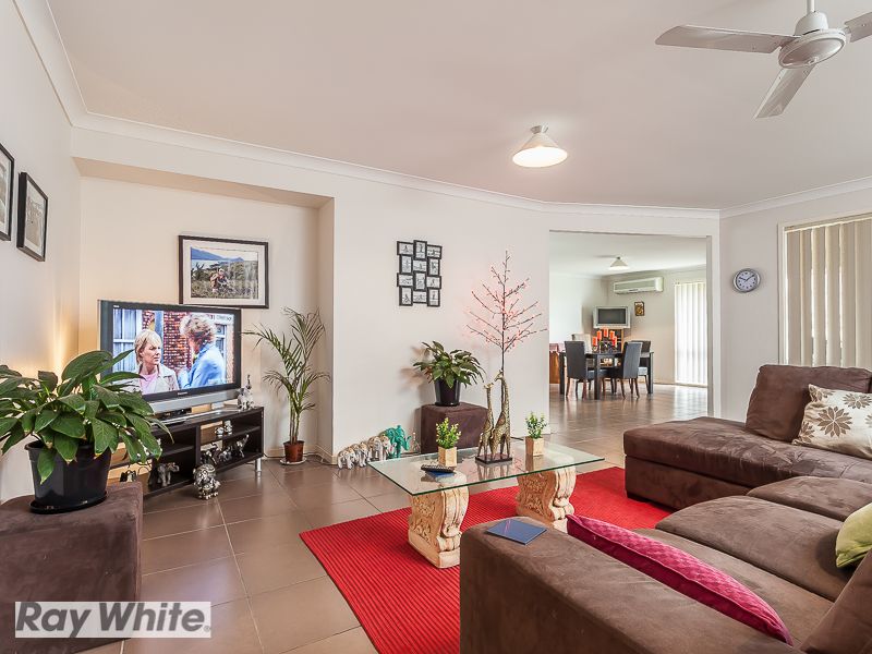 8 Whiteface Street, MANGO HILL, QLD 4509
