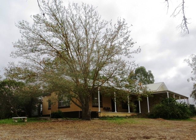 "Willow Glen" Pugsleys Road, MANOORA, SA 5414