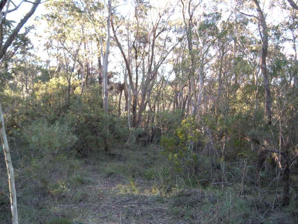 39-41 Shipley Road (Lot 134 Helvatia Avenue), BLACKHEATH, NSW 2785