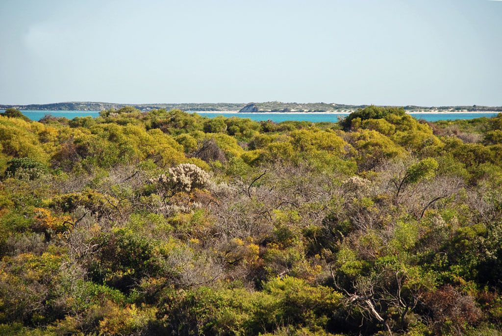 27B Coubrough Place, JURIEN BAY, WA 6516
