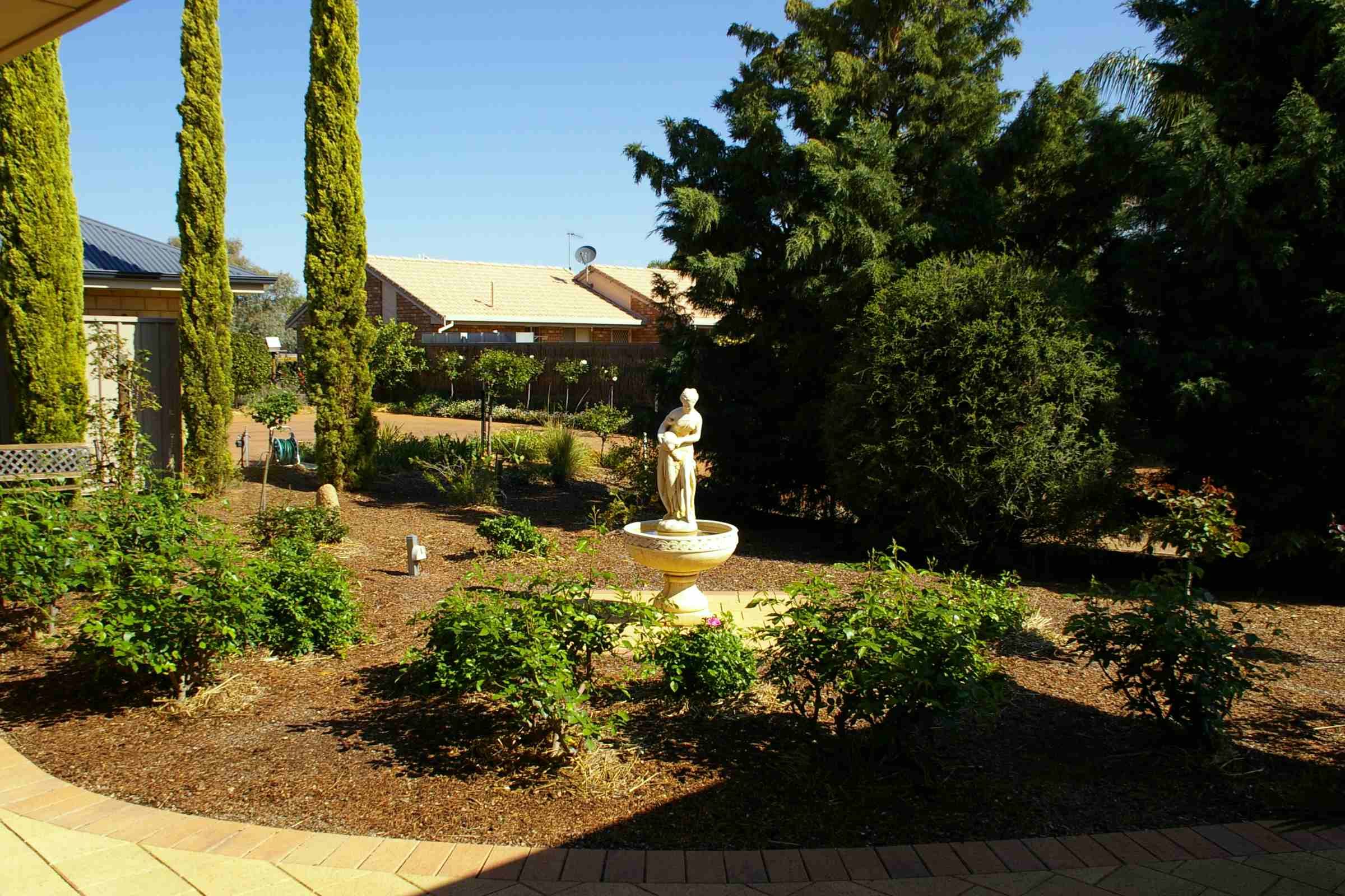 6 Cocos Place, RENMARK, SA 5341