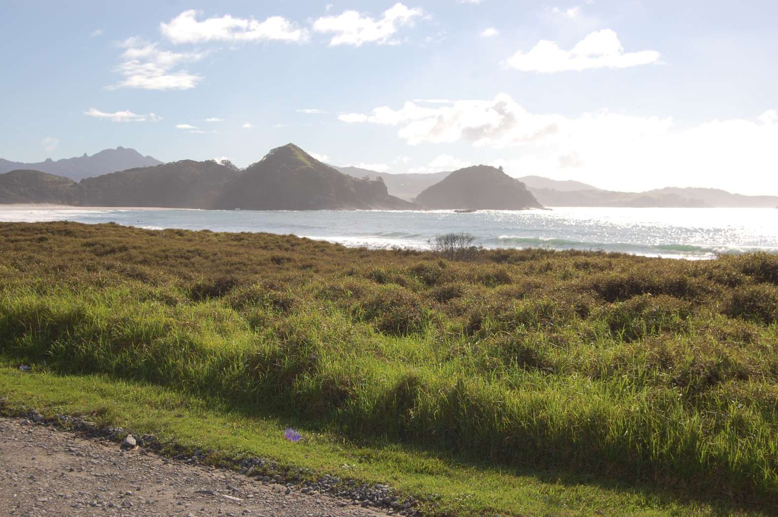 41 and 43 Sandhills Road, Great Barrier Island, Great Barrier Island Real Estate Ray White