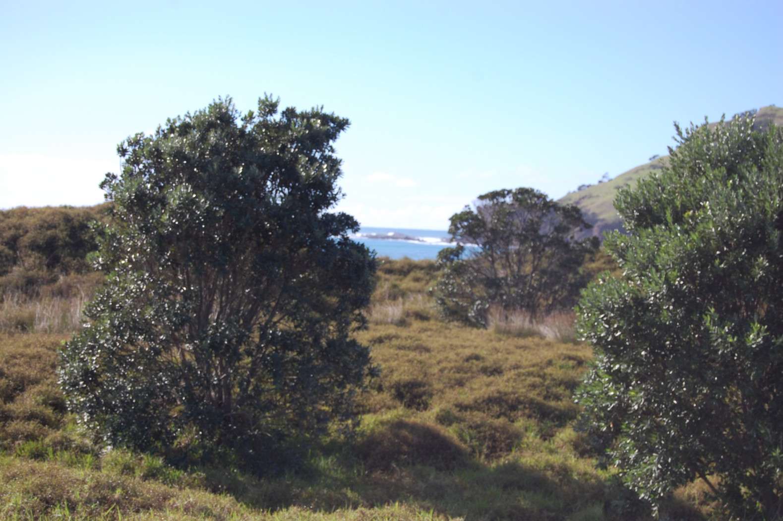 41 and 43 Sandhills Road, Great Barrier Island, Great Barrier Island Real Estate Ray White
