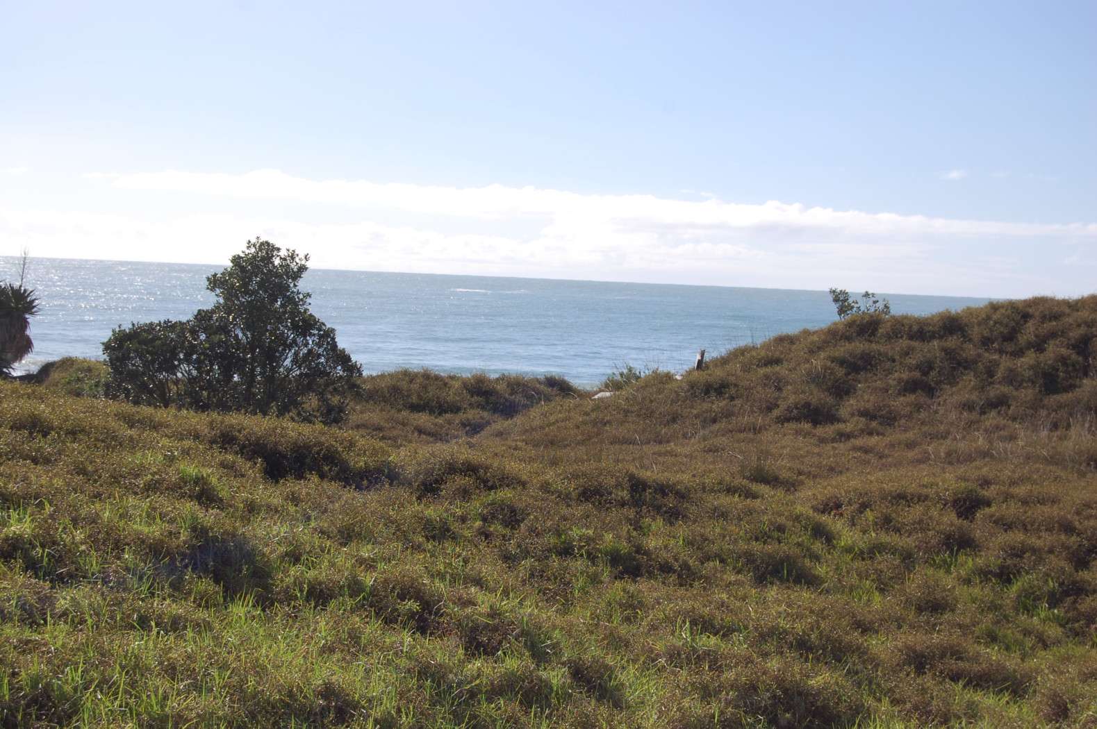 41 and 43 Sandhills Road, Great Barrier Island, Great Barrier Island Real Estate Ray White