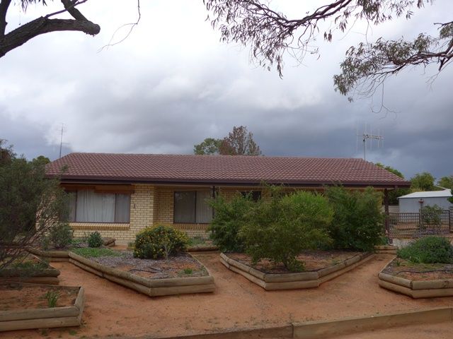 16 Bruce Road, Barmera, SA 5345