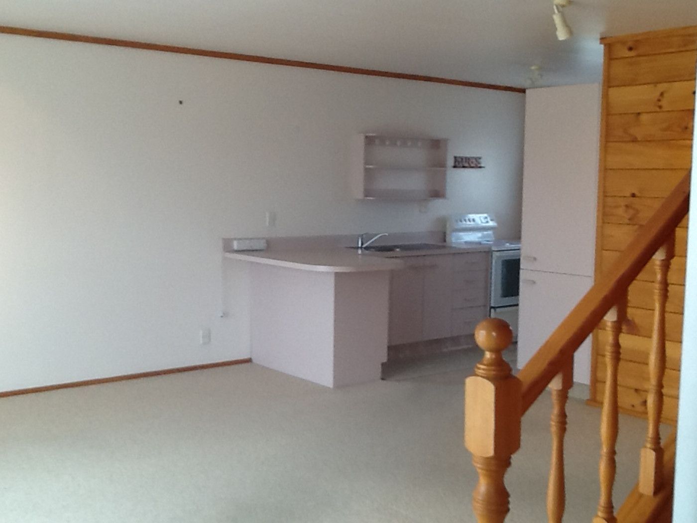 3/3 Puriri Street, Mt Maunganui, Tauranga City