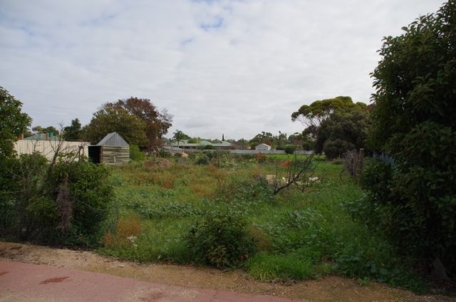 39 Pyap Street, Renmark, SA 5341