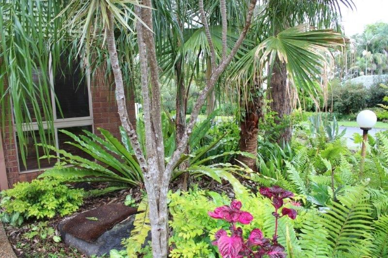 1 Windsor Court, GOONELLABAH, NSW 2480